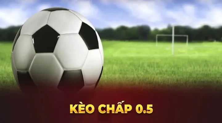 Tìm hiểu cơ bản về kèo 0.5
